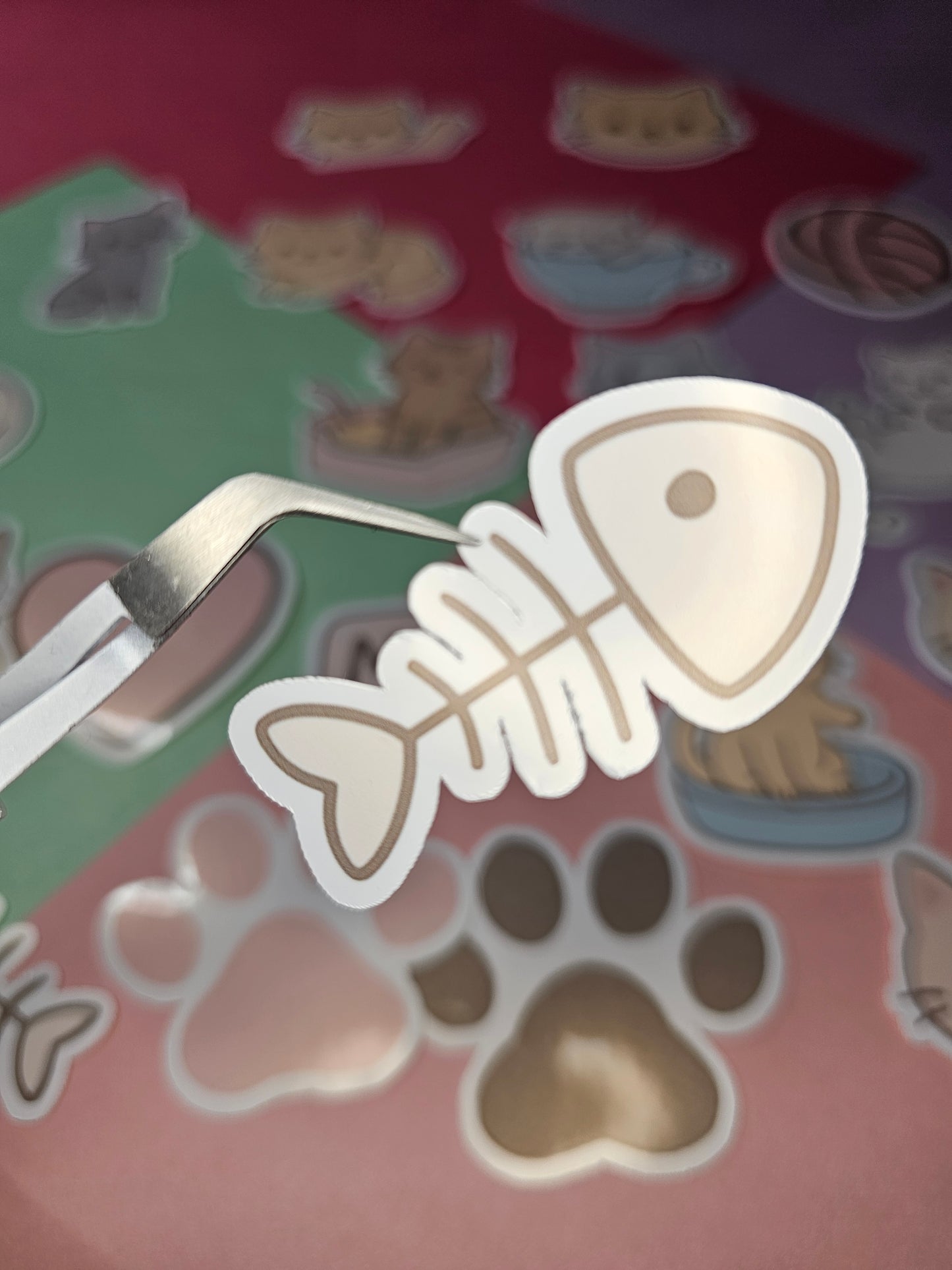 Einzelsticker - Katzen Edition