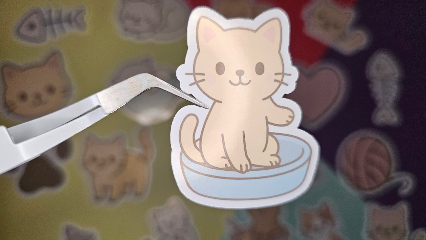Single Stickers - Cat Edition